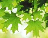 Unternehmesfreude | Doris Rusterberg | Organisationsberatung Training Coaching - Qualifizierung & Training