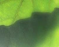 Unternehmesfreude | Doris Rusterberg | Organisationsberatung Training Coaching - Supervision